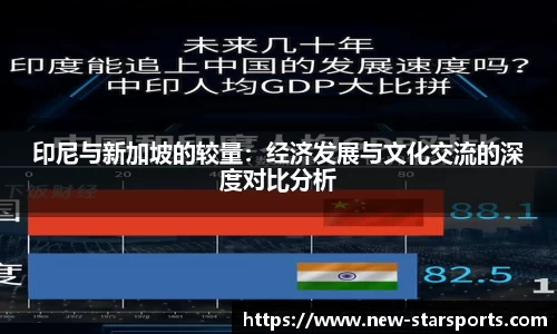 印尼与新加坡的较量：经济发展与文化交流的深度对比分析